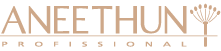 Aneethun
